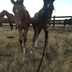 Meet your Posher, Lucy